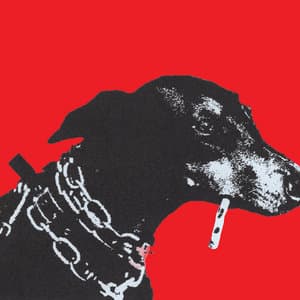 Order & Nonsense on Bandcamp